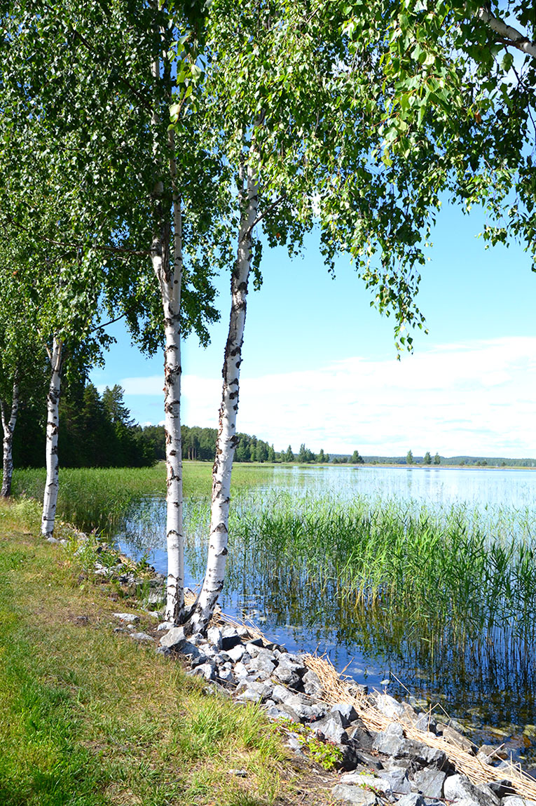 finland, travel, punkaharju, Sanvolina, Imatra , Lappeenranta, forest, nature, lake