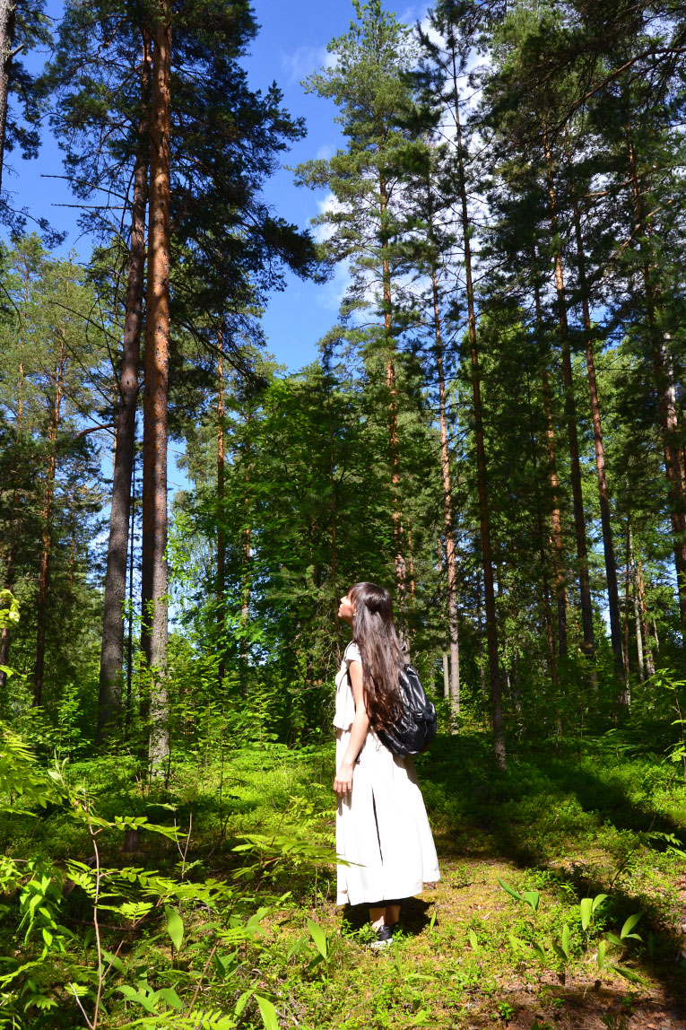 finland, travel, punkaharju, Sanvolina, Imatra , Lappeenranta, forest, nature, lake