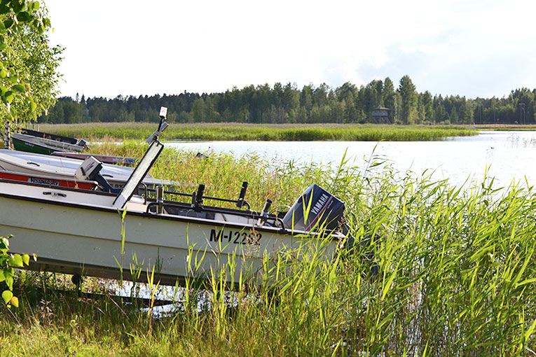 Finland, Kerimaki, forest, trees, nature, boat, harbour
